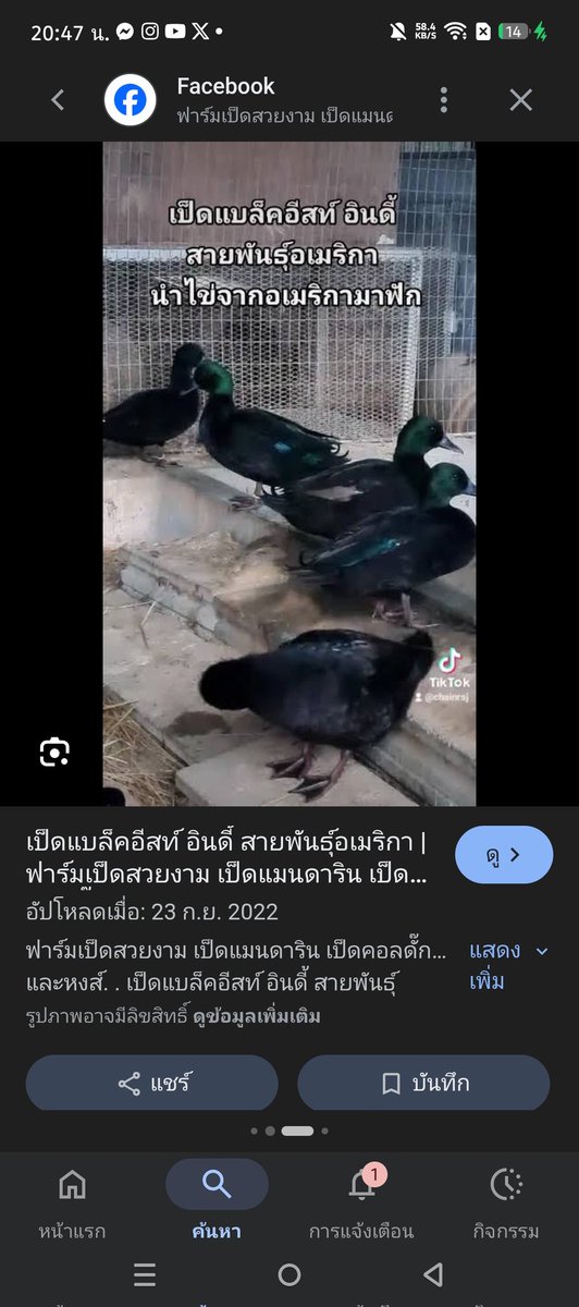 ar ไม่รักดี tweet media