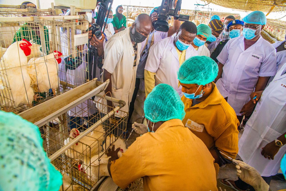 We know it is not Thursday, but this is a great time to throw it back to October 2023, when the Executive Governor of Oyo State, Engr. Seyi Makinde, visited our processing facility in Akinyele, Ibadan, and some of our breeder farms in Awe, Oyo State.

During his visit, Governor