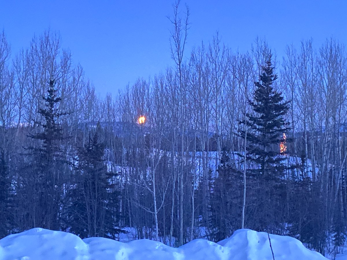 YukonSteph tweet media