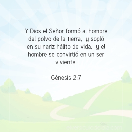 El versiculo del dia tweet media