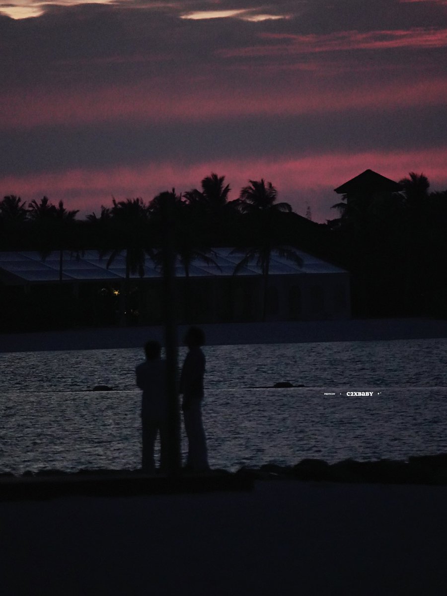 c2xbaby🌼 tweet media