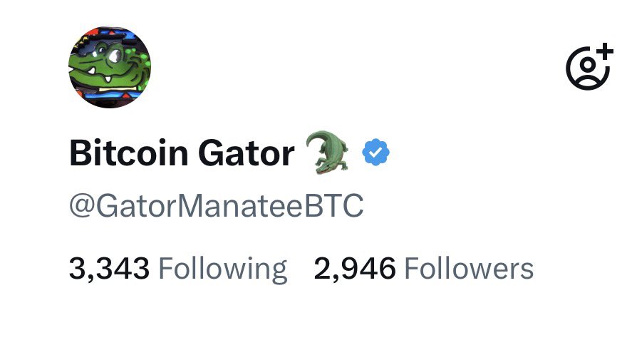 Bitcoin Gator 🐊 tweet media