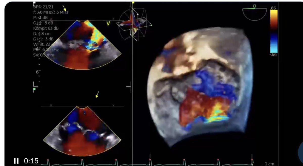 Marco Kaldas tweet media