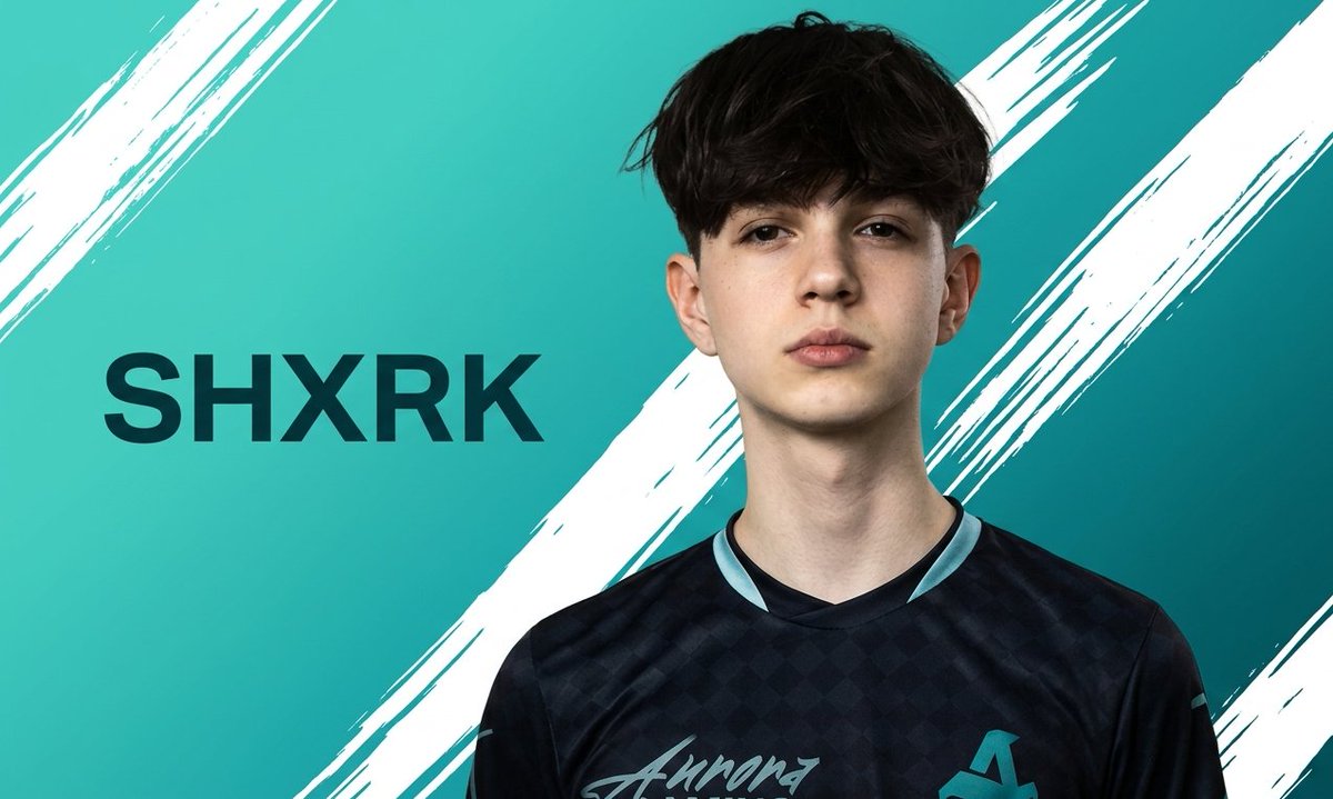 shxrk tweet media