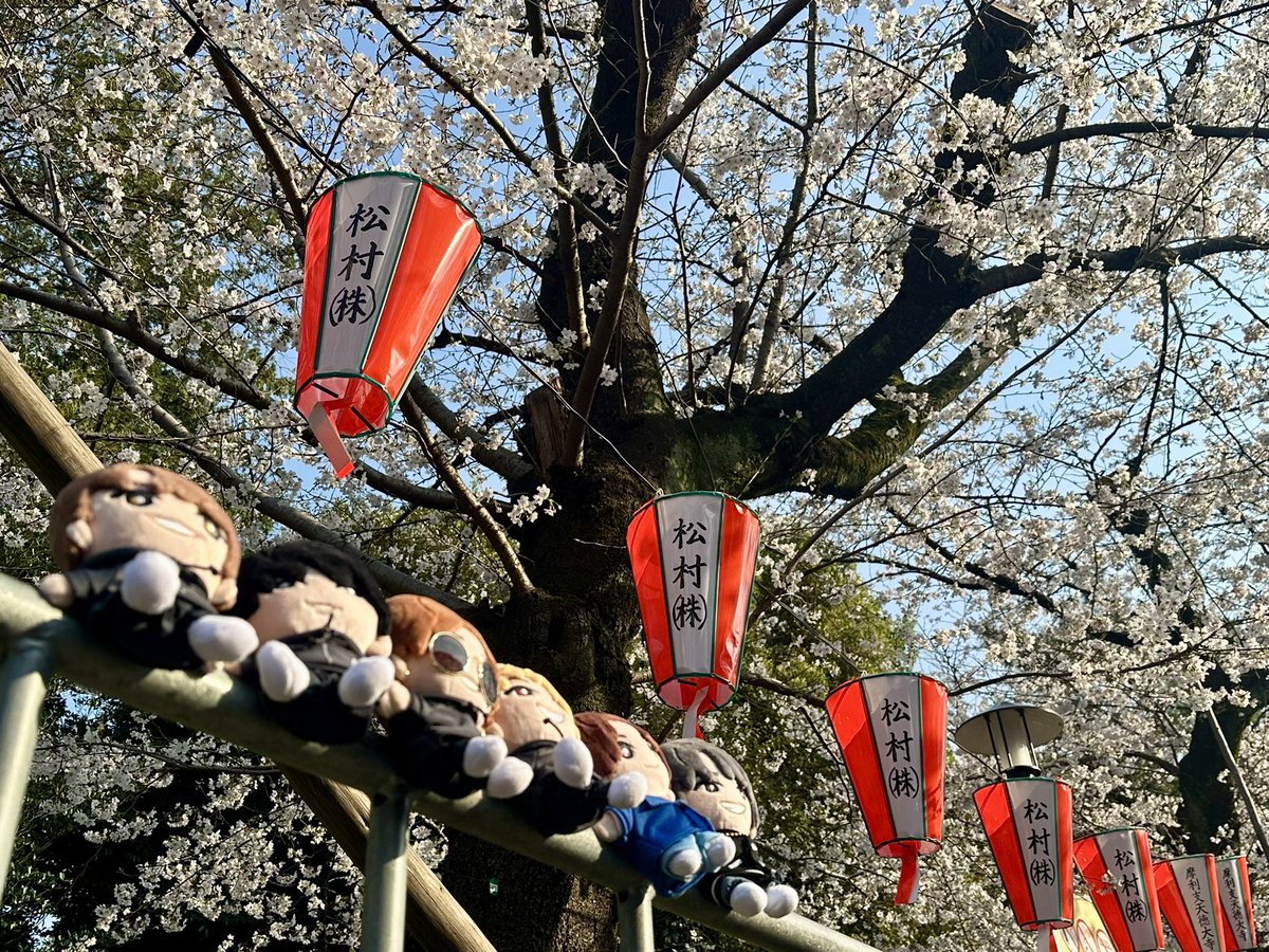 しゃけﾋﾟ🌈🐟 tweet media