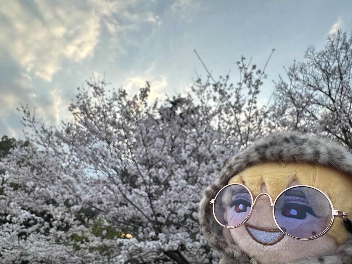 しゃけﾋﾟ🌈🐟 tweet media