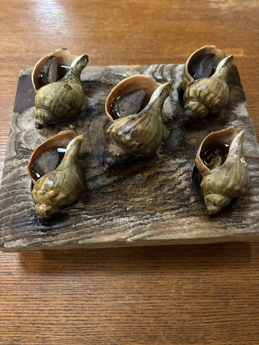 ℍ𝔸ℝ𝔼 tweet media