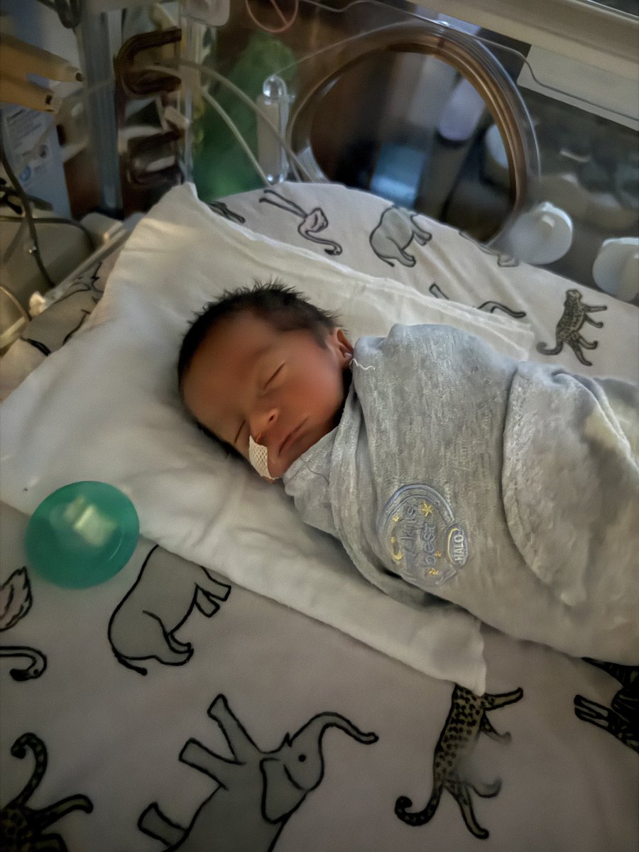 Jonathan tweet media