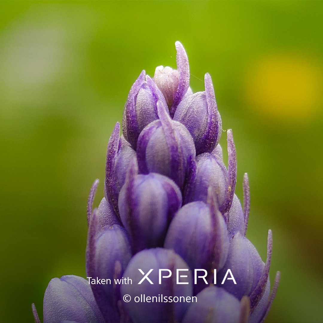 Sony | Xperia tweet media