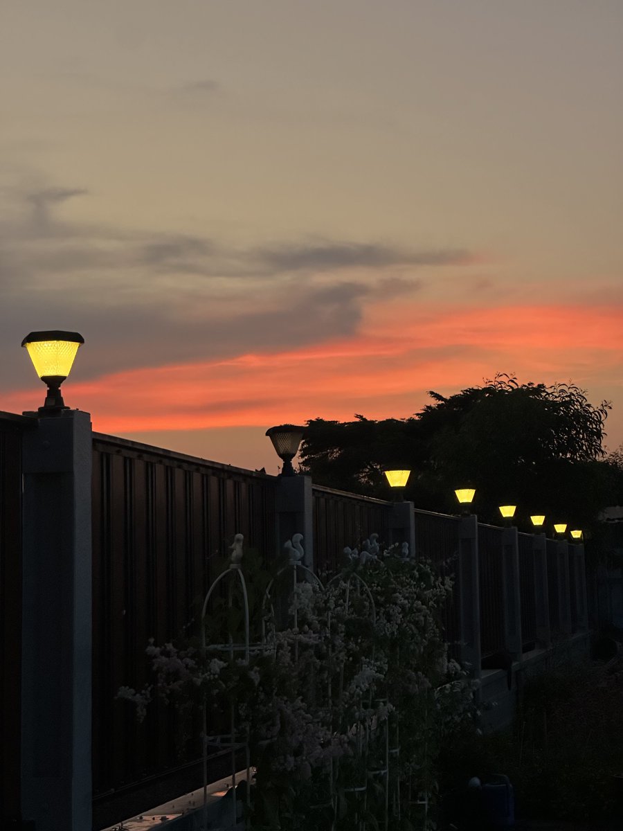 st. 🪐 tweet media