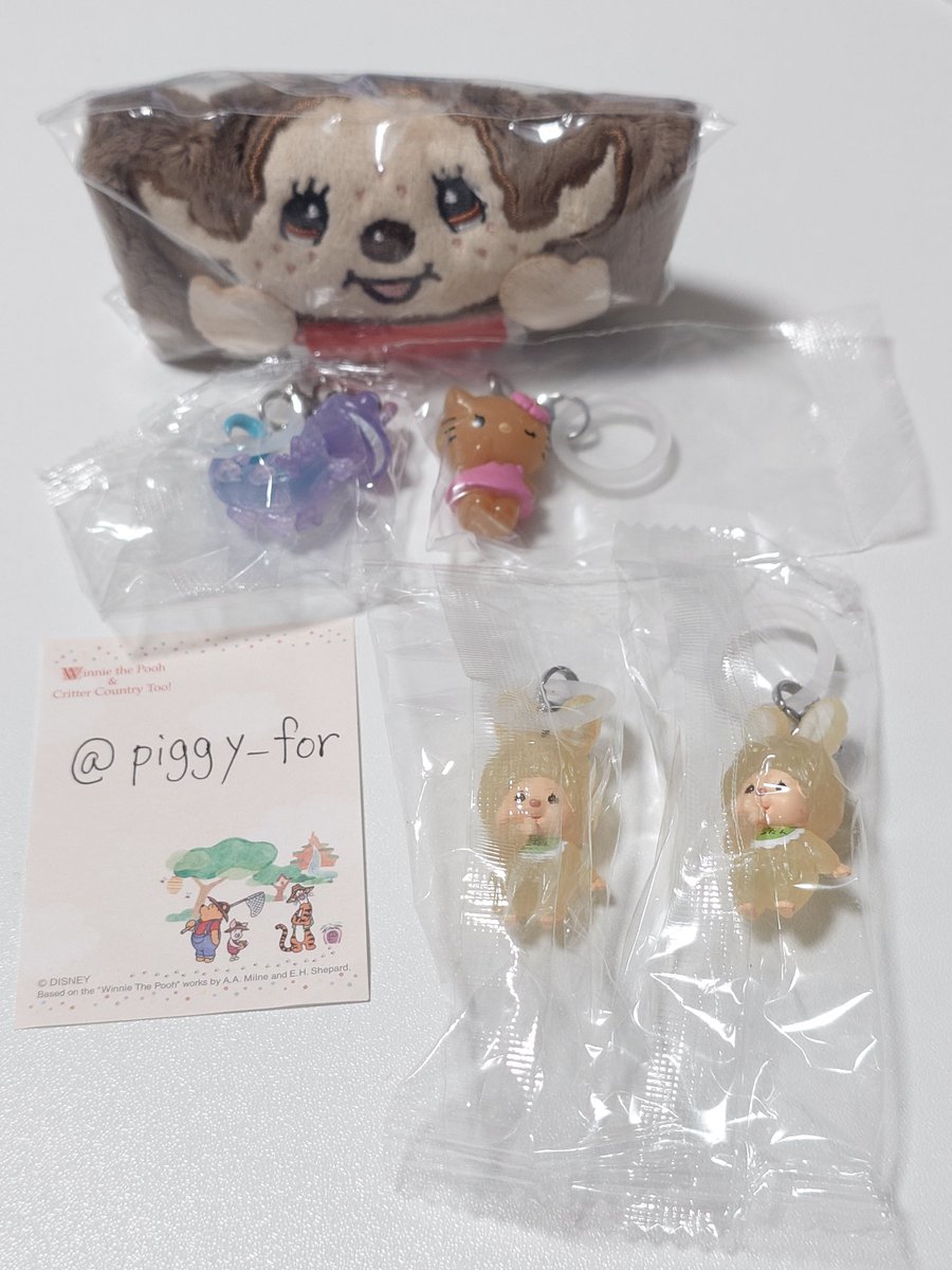 くまこ tweet media