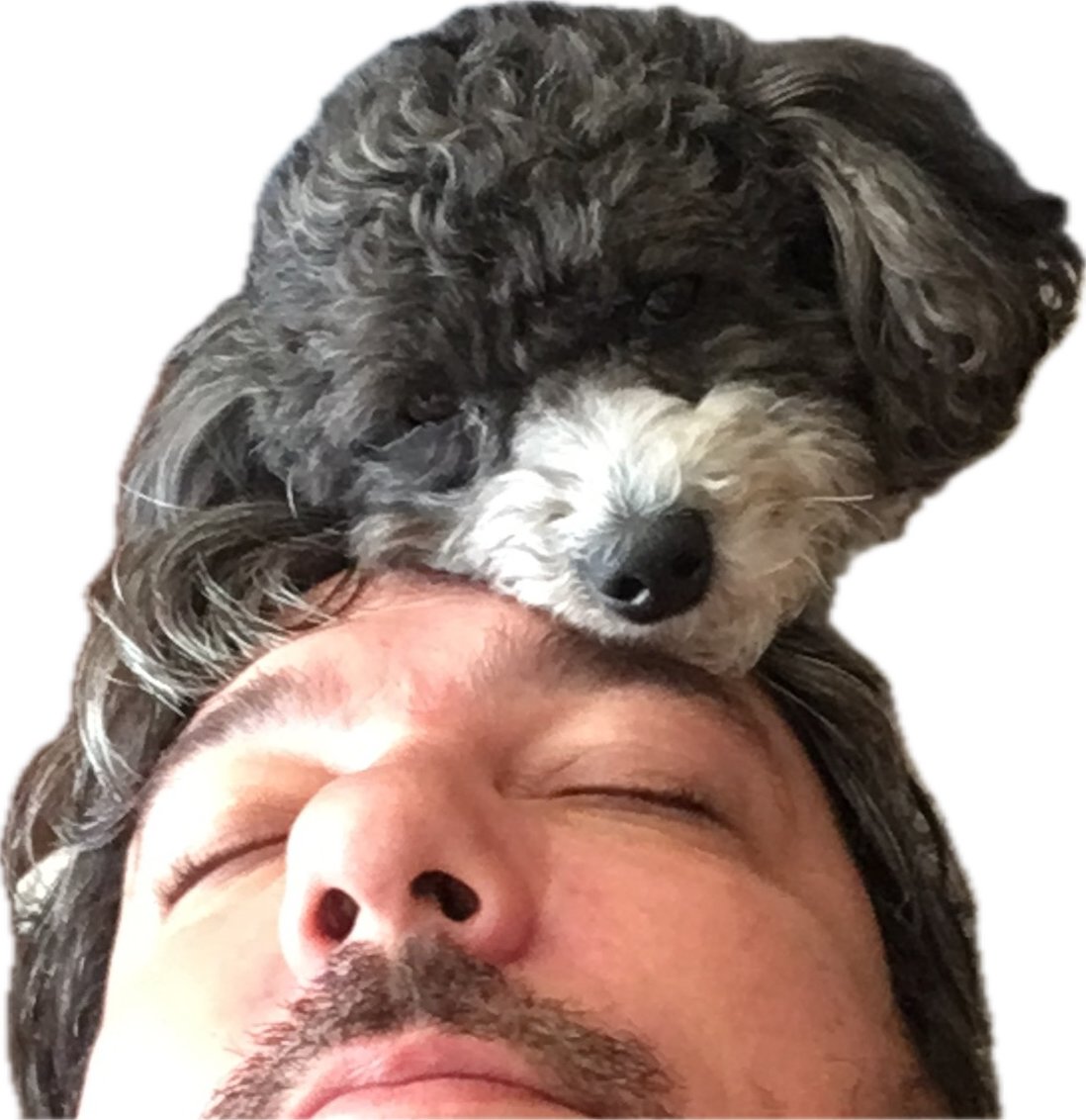 Richardosbornr's tweet image. Few girls disappointed me, not sure who's gonna come over