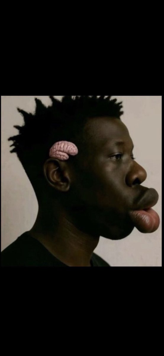 staz kas tweet media