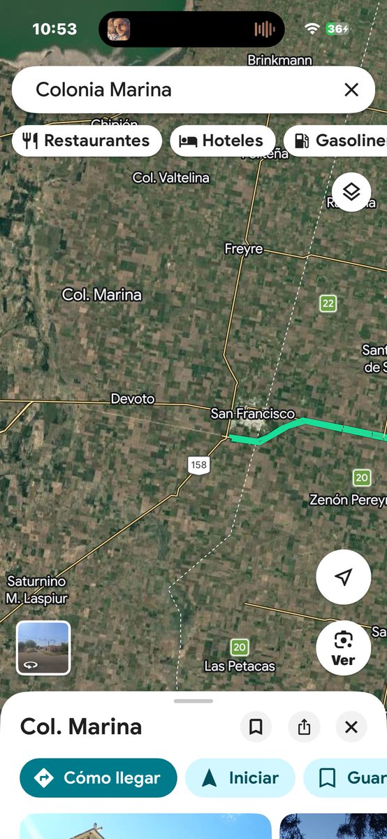 Franpii 🐈 tweet media