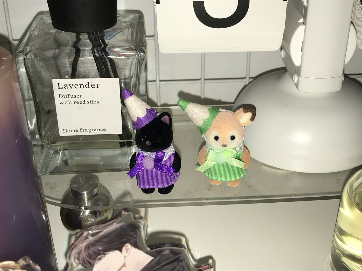 코엘이 tweet media