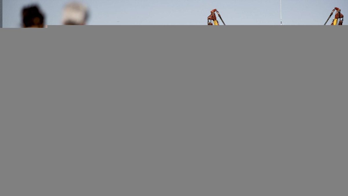 De Telegraaf tweet media