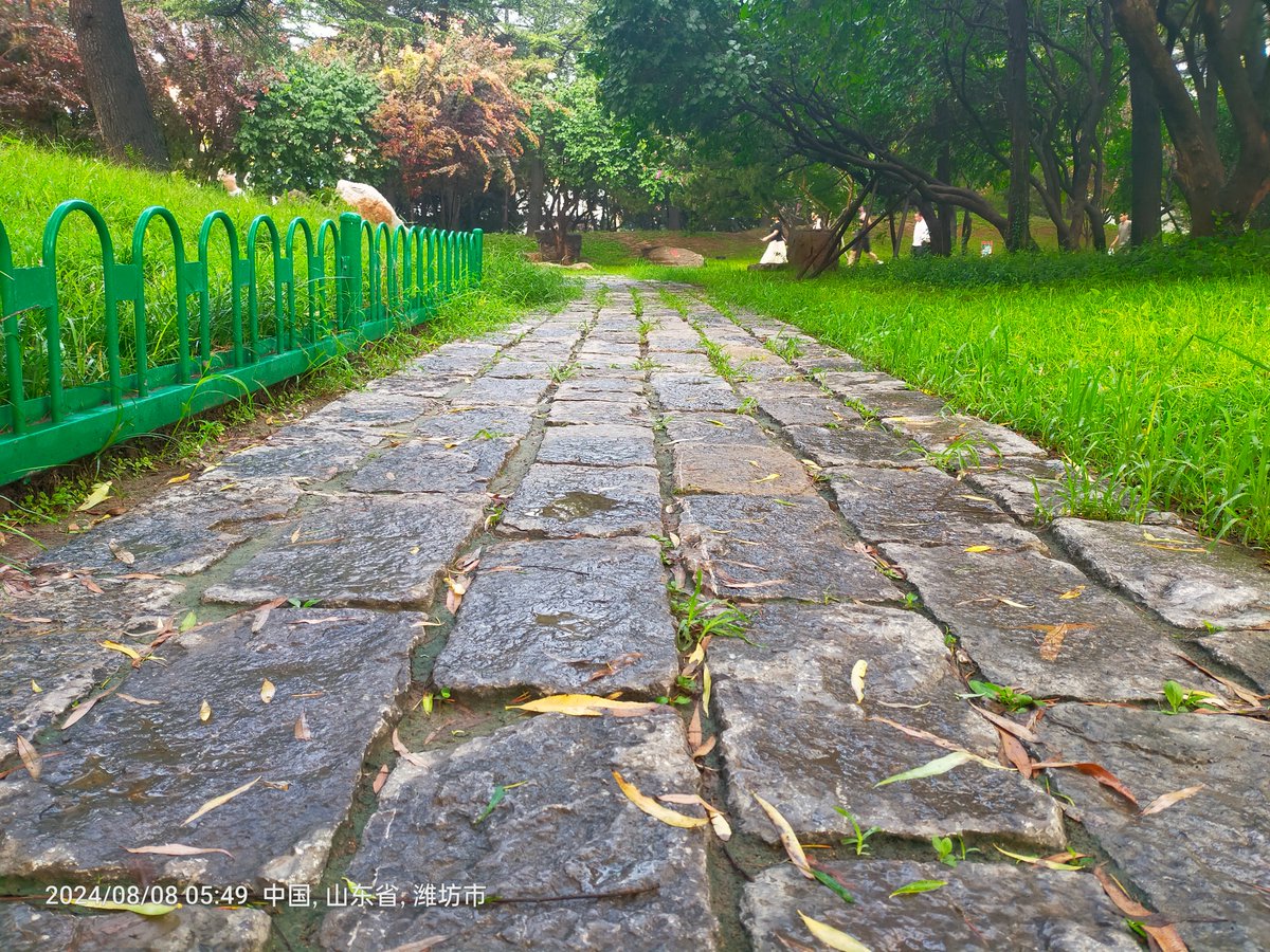 Jim McLamore tweet media