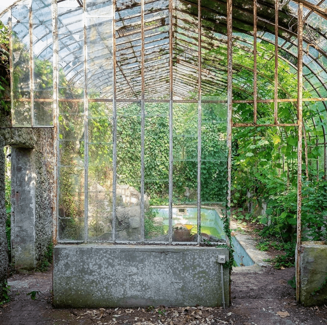 Helena Mary Box tweet media