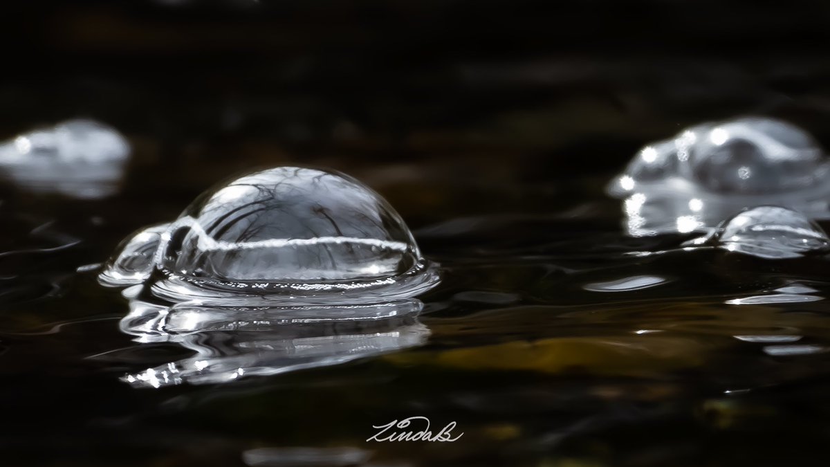 LSBofEBB's tweet image. Bubbles develop and pop within seconds most of the time.  These bubbles traveled through a small pool of water and disappeared over the falls where more bubbles formed at its base, starting a whole new life. 

#godsdesign #bubbles  #thesimplethings #nature #StressfreeSaturday
