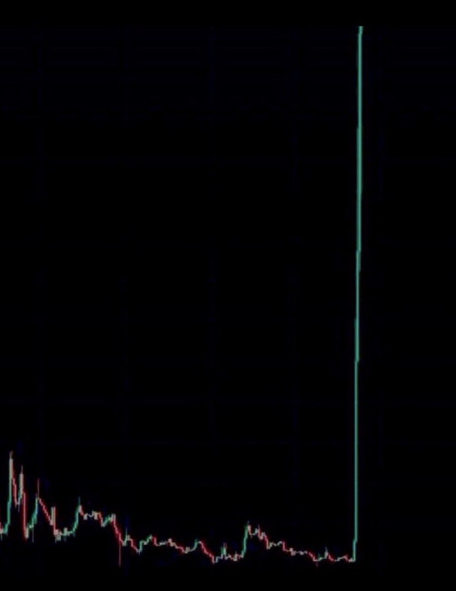 Viktor's Cousin 🐯🧡 tweet media