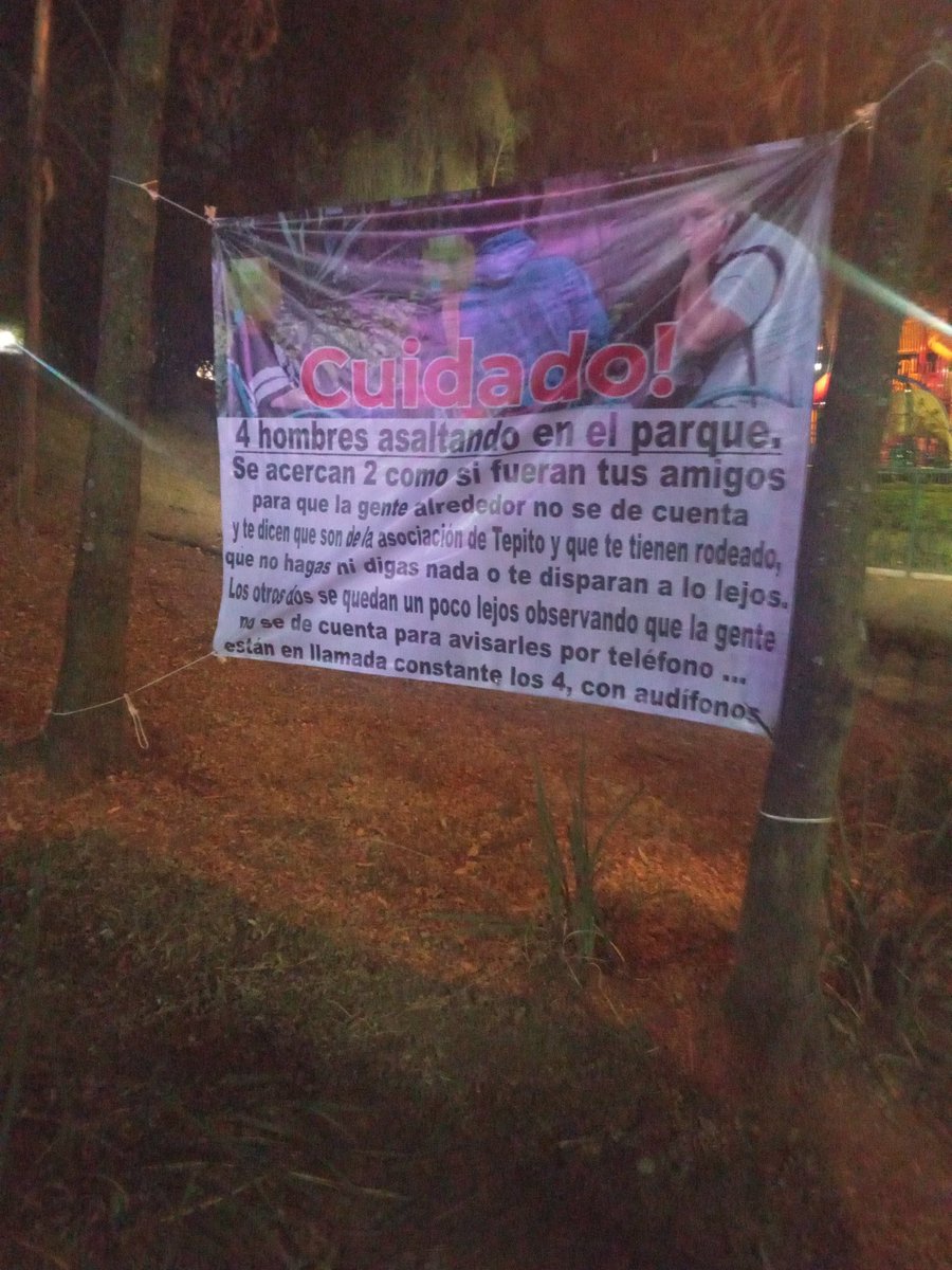 Mike Milo 🇮🇱 tweet media