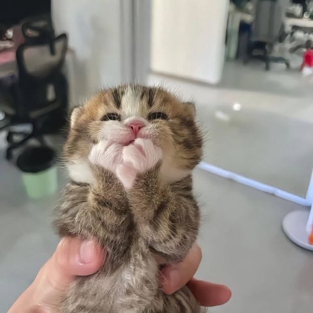 비터원🕯 tweet media