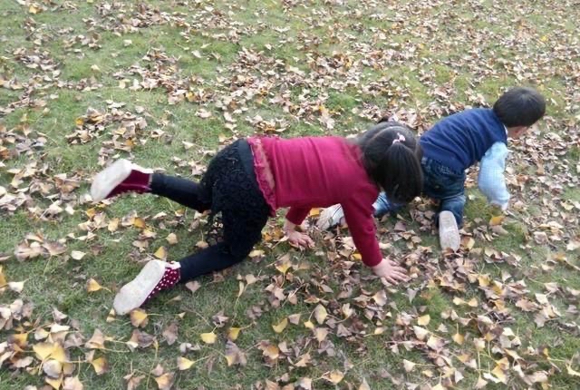 Hamza Pacha tweet media