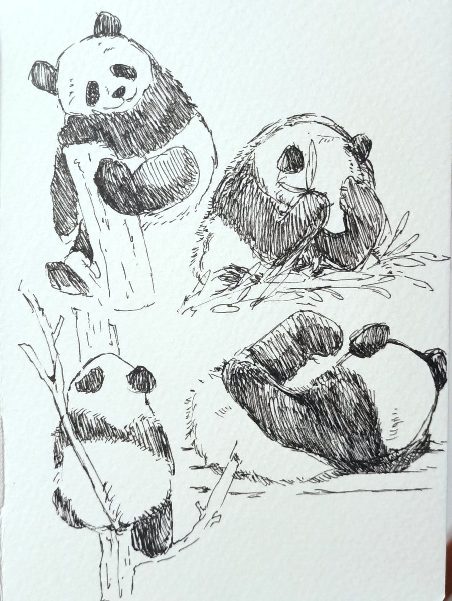 Peanut || Comm Closed tweet media