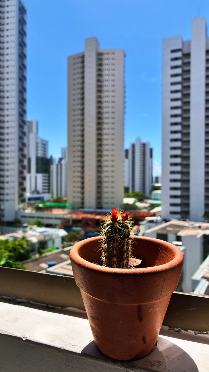 𝒜𝓃𝓃𝒶 tweet media