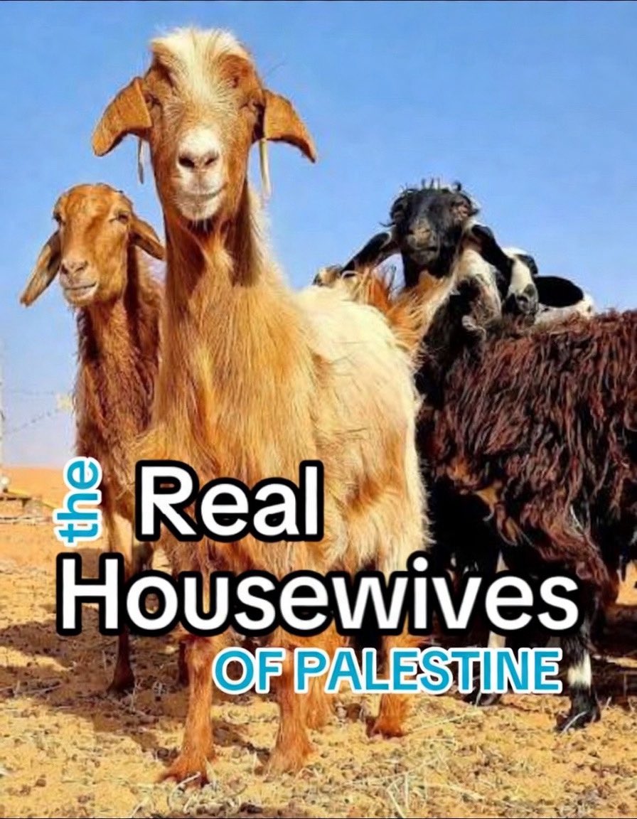 Mor Edge Insight tweet media