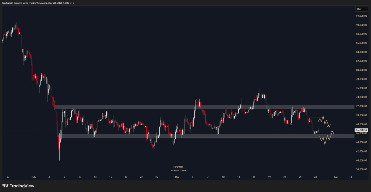 Jip Molenaar tweet media
