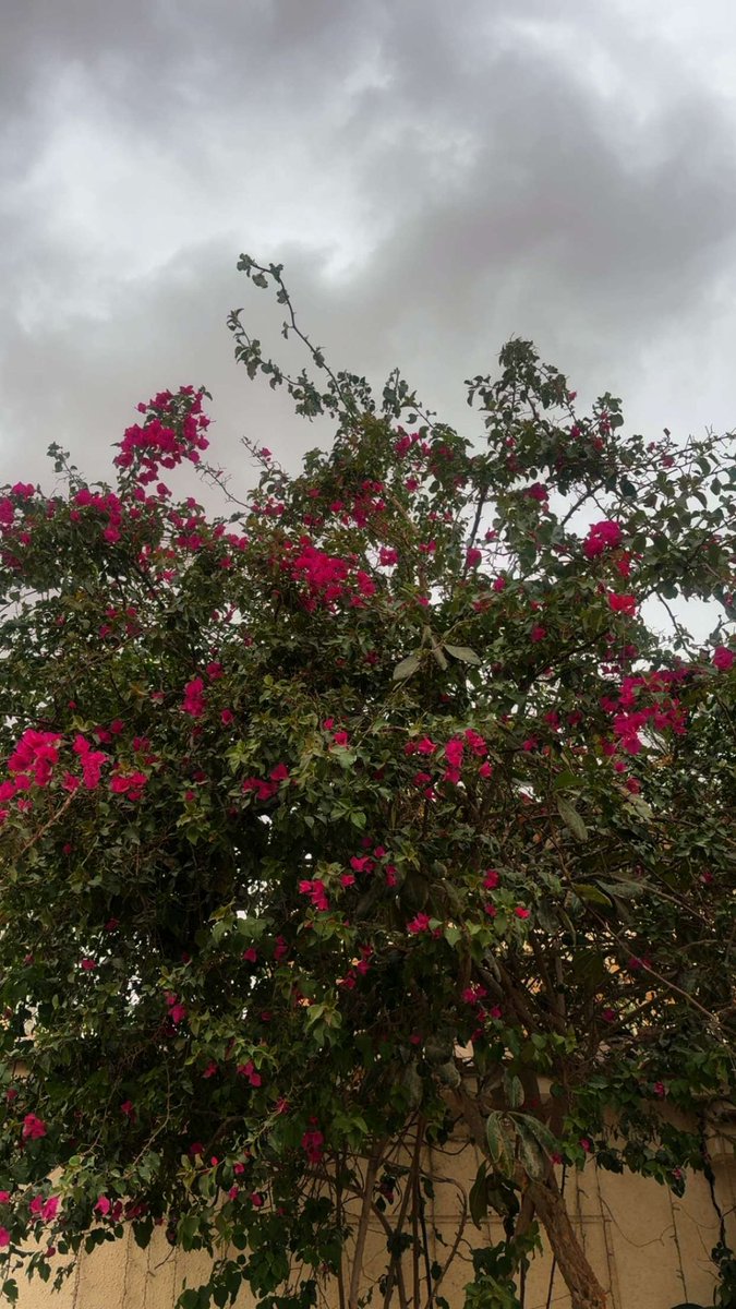 ‏​​​​​‏ ◔̯.◔ tweet media