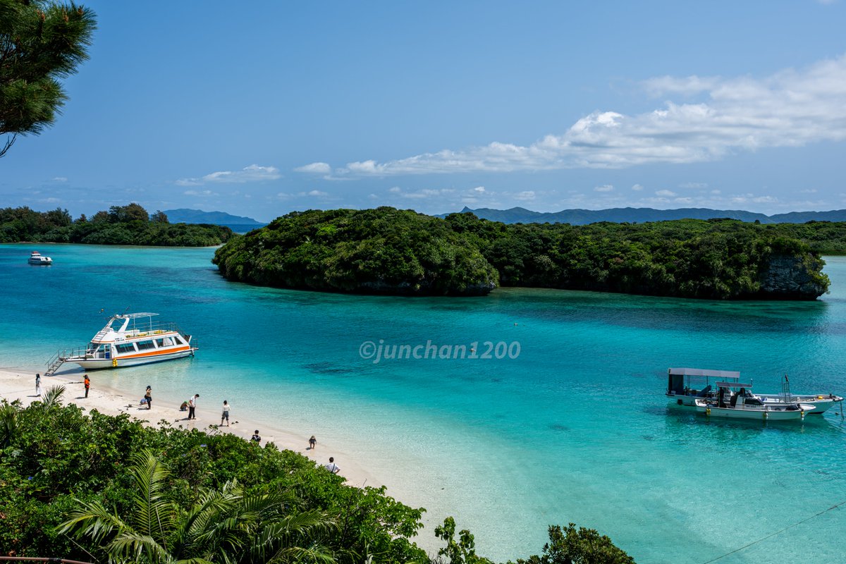 Jun@たくあん強化月間 tweet media