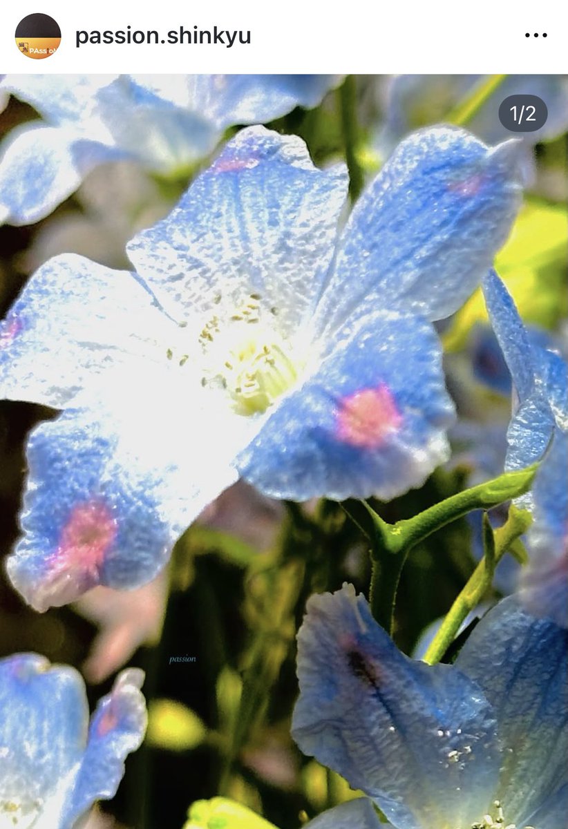 PAssioN(パッション)・鍼灸 tweet media