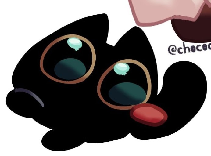 초코칩쿸키 tweet media