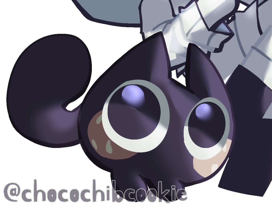 초코칩쿸키 tweet media