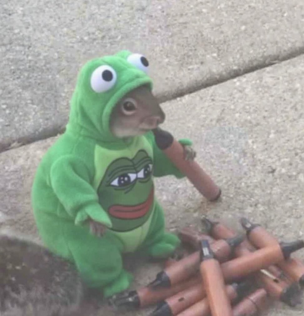 Crypt_Witch 🐈⬛ tweet media