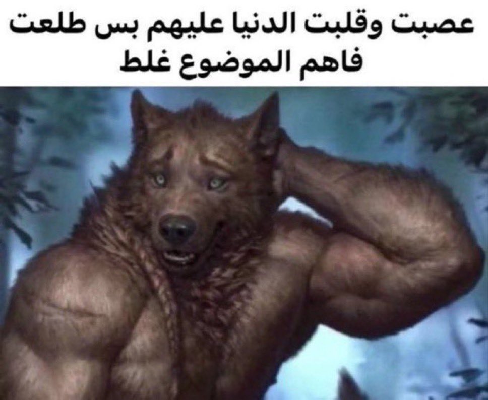 عمرو tweet media