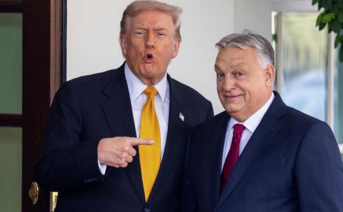 Профессор Талк tweet media