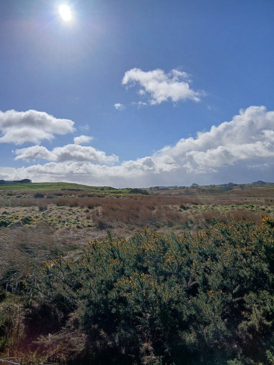 Sinéad Watson 🏴󠁧󠁢󠁳󠁣󠁴󠁿 tweet media