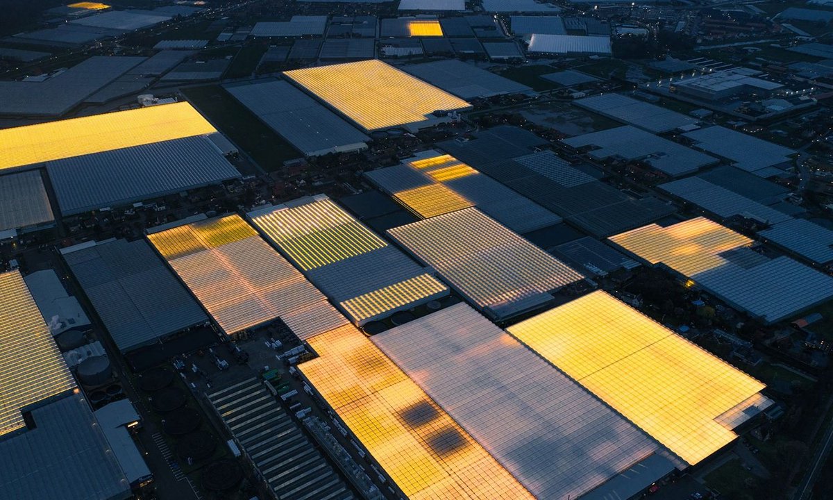 Lukas Ekwueme tweet media