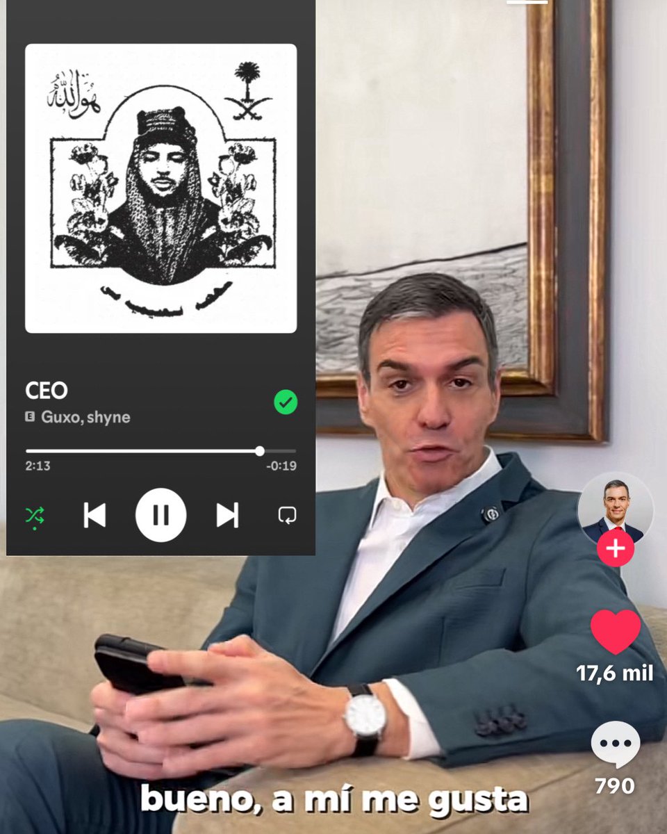 joder pedro estoy dando volteretas