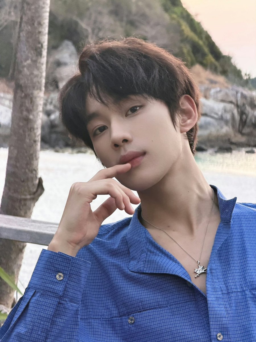 순두부 tweet media