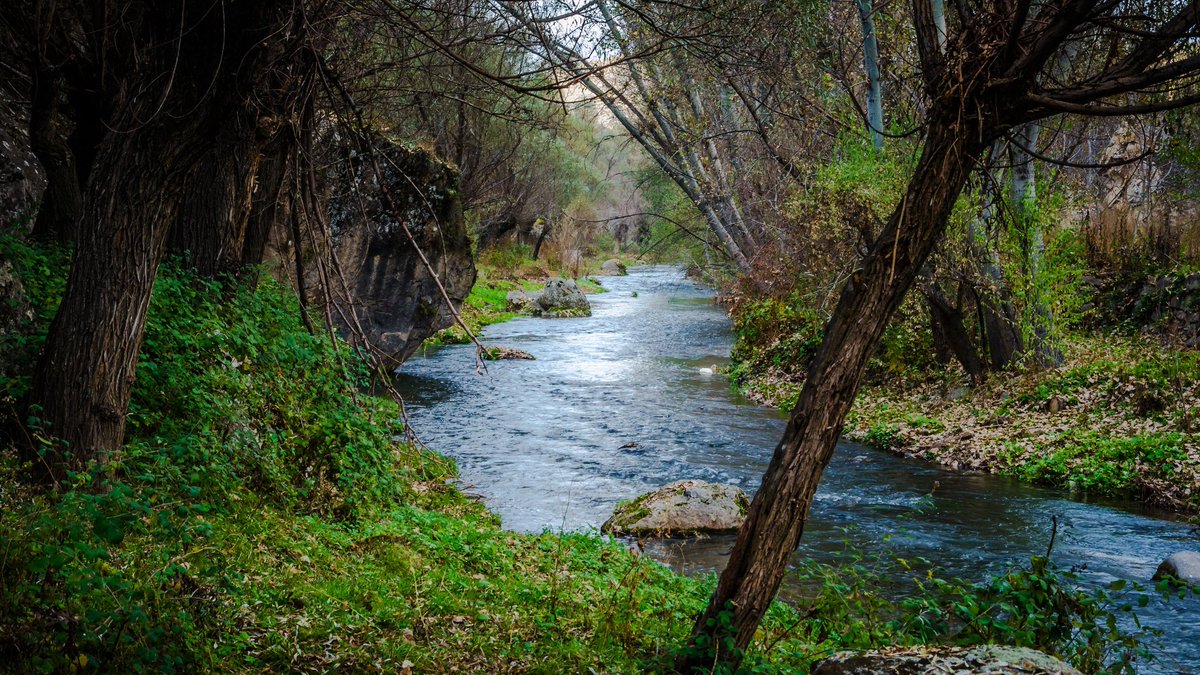 Turkish Museums tweet media