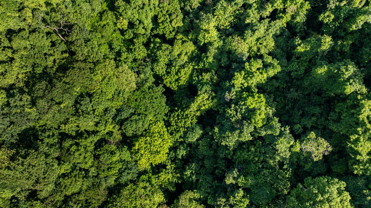 Fernando López 🇸🇻 tweet media