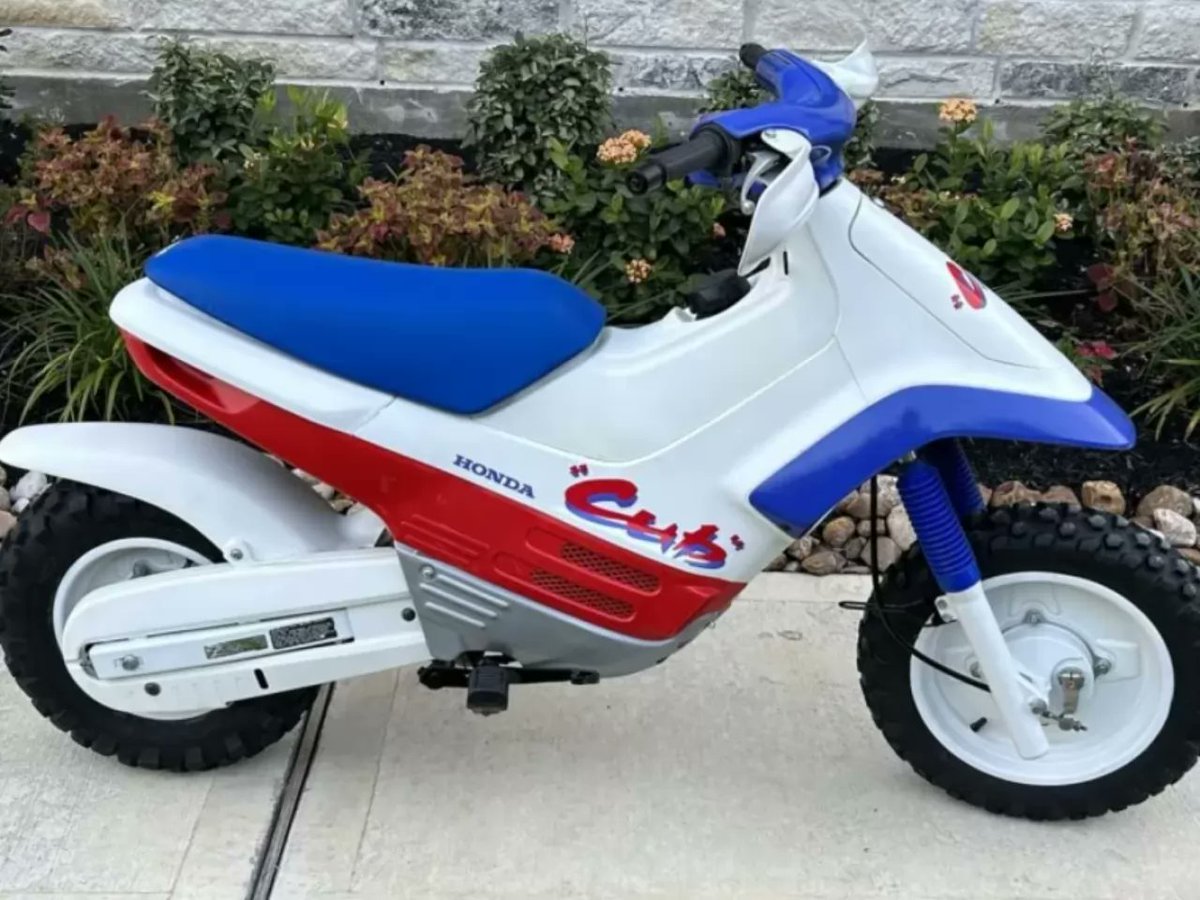 Dogecoin.meme🤌 tweet media