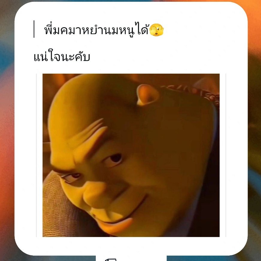 Mocha 🔇 tweet media