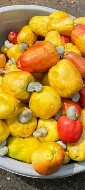 Charuhaas Parab tweet media