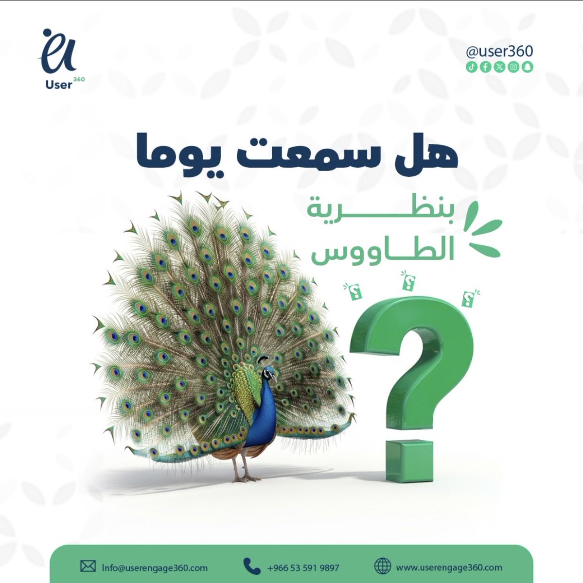 يوزر 360 tweet media