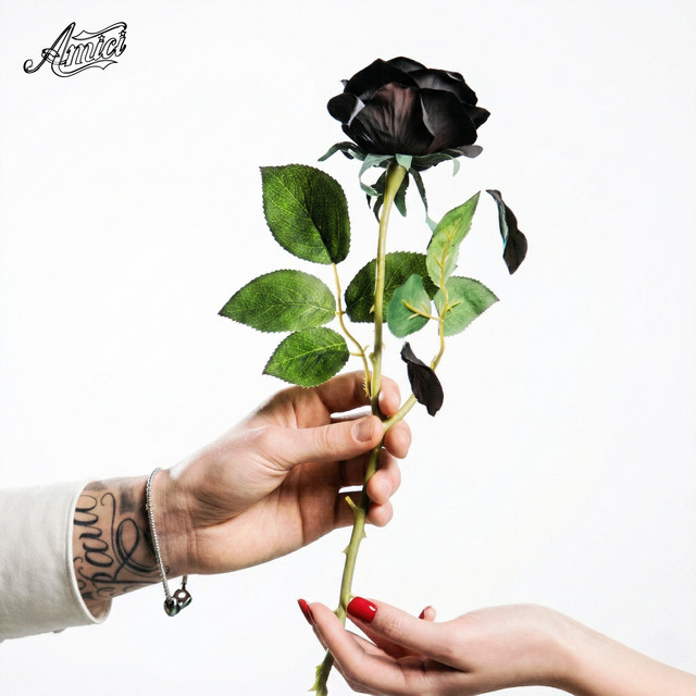 amici 25 streaming tweet media